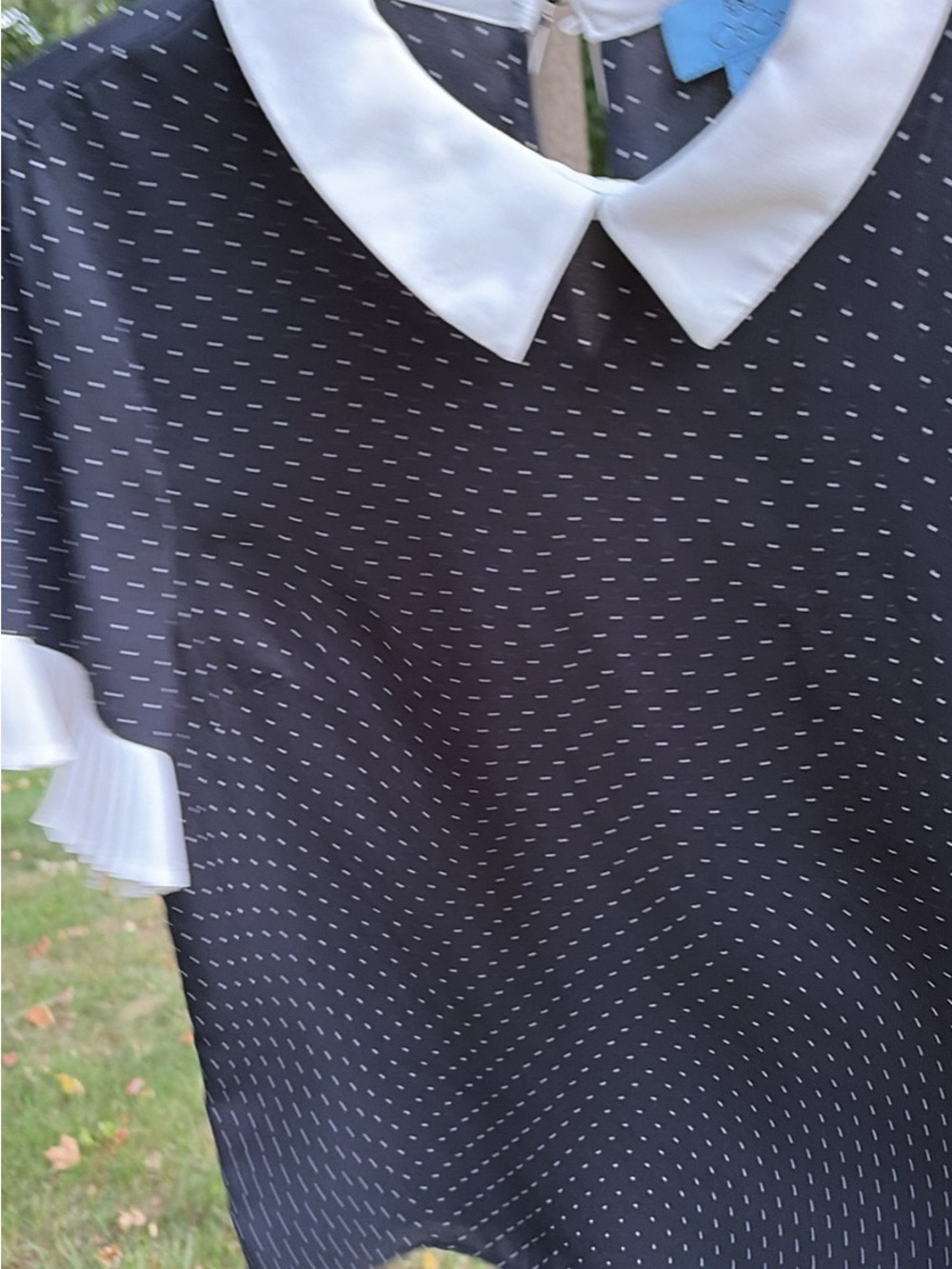 Womens Black Polka Dot top with White Peter Pan Collar CeCe